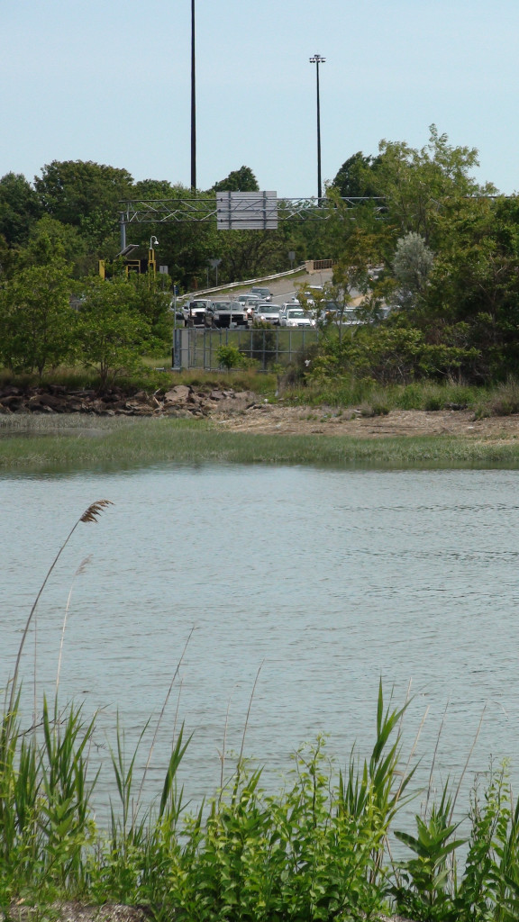 A marshy area with highway in background