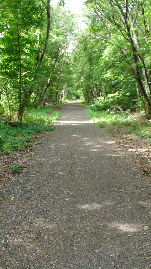 Shadowy trail with fine gravel