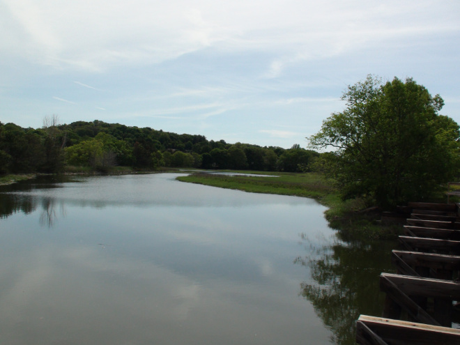 Marsh and wooded area from bridge.