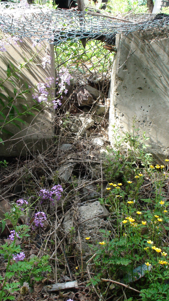 Flowers and fencing.